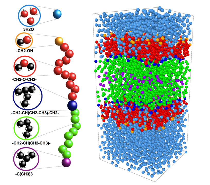 Coarse-Grained Simulations