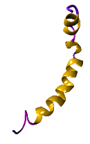 Amyloid-beta protein
