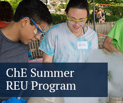 chemical engineering r e u program