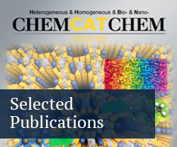 selected publication
