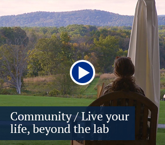Community - Live your life, beyond the lab