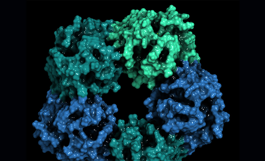  Illustration of a protein