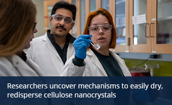 Researchers uncover mechanisms to easily dry, redisperse cellulose nanocrystals