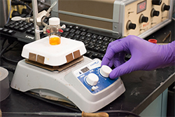 Rioux catalyst research