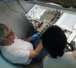 Curtis and undergraduate researcher, Morgan Shires 