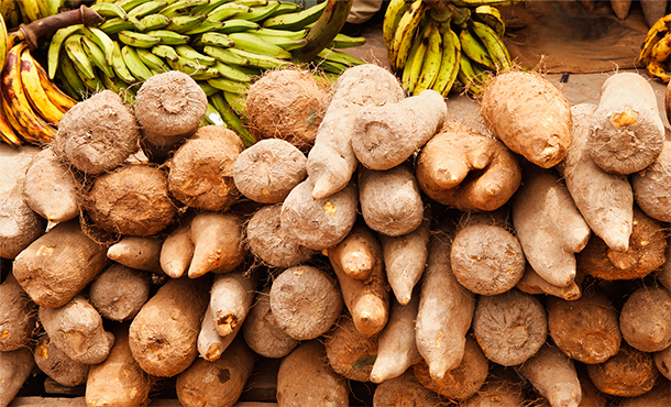 Photo of African yams