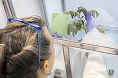 women with plants doing research