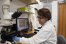 An engineer works in front of a computer and microscope