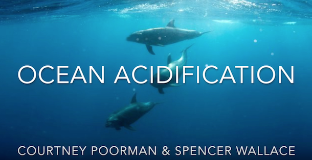 Title screen of video on ocean acidification showing whales underwater