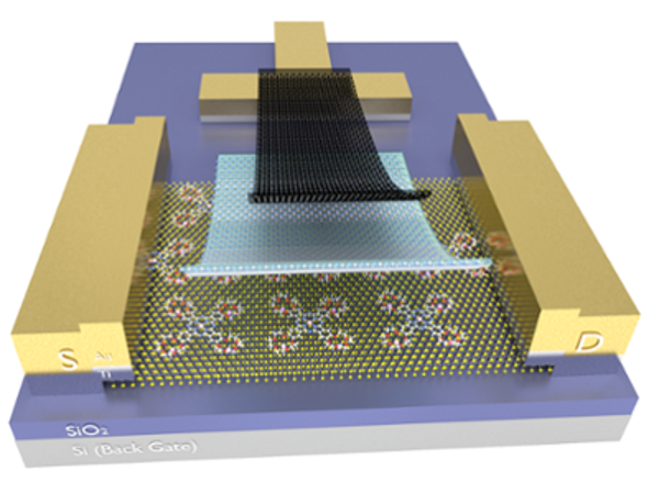 Graphic image of ion transport