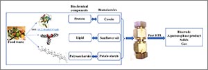 thumbnail of diagram found in the publication