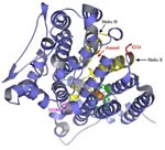 Catalytic residues M180 and E214 of the hydroxylase alpha subunit (TouA) 
    of toluene-o-xylene-monooxygenase from Pseudomonas stutzeri OX1 are important for enzyme activity for methyl and nitroaromatics oxidation as well as 
    chlorinated ethene degradation.